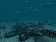 Sharks - Great White 3D screensaver screenshot. Click to enlarge