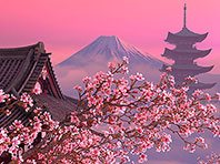 Captura de pantalla del salvapantallas 3D de Sakura floreciente. Click para agrandar