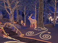 Christmas Walk screensaver screenshot. Click to enlarge