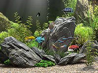 Dream Aquarium 3D screensaver screenshot. Click to enlarge