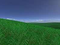 Captura de pantalla del salvapantallas 3D de Campos verdes. Click para agrandar