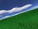 Green Fields for PC