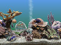 Marine Aquarium