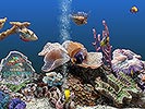 animated aquarium screensaver for windows 7