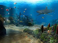 Ocean Dive 3D screensaver screenshot. Click to enlarge