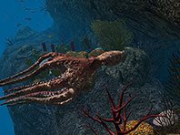 Captura de pantalla del salvapantallas 3D de Buceo en el océano. Click para agrandar