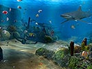Aquarium 3D Screensavers - Download animated fish and sharks for Windows 10