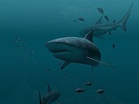 Captura de pantalla del salvapantallas 3D de Tiburones. Click para agrandar