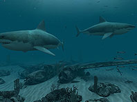 Captura de pantalla del salvapantallas 3D Tiburones - Gran Blanco. Click para agrandar