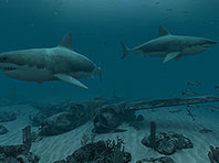 Sharks - Great White 3D screensaver screenshot. Click to enlarge