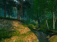 Summer Forest 3D screensaver screenshot. Click to enlarge