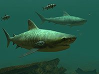Captura de pantalla del salvapantallas 3D Tiburones tigre. Click para agrandar
