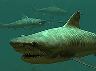 Captura de pantalla del salvapantallas 3D Tiburones tigre. Click para agrandar